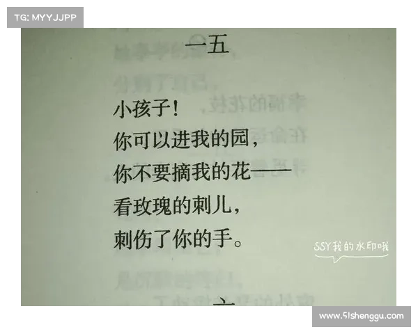 冰心诗歌中的母爱主题探析:温柔关怀、无私奉献、深沉守护与永恒牵挂 冰心诗歌中的母爱主题探析:温柔关怀、无私奉献、深沉守护与永恒牵挂