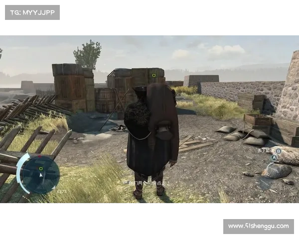 全面解析刺客信条3运行异常原因与高效解决方法详细图文指南 全面解析刺客信条3运行异常原因与高效解决方法详细图文指南