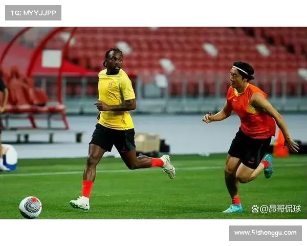 如何应对费南多可能退役的消息球迷心态调整与未来规划分析