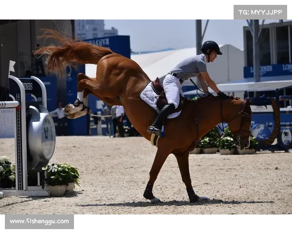 如何捕捉上海马术比赛精彩瞬间并畅享赛事之美